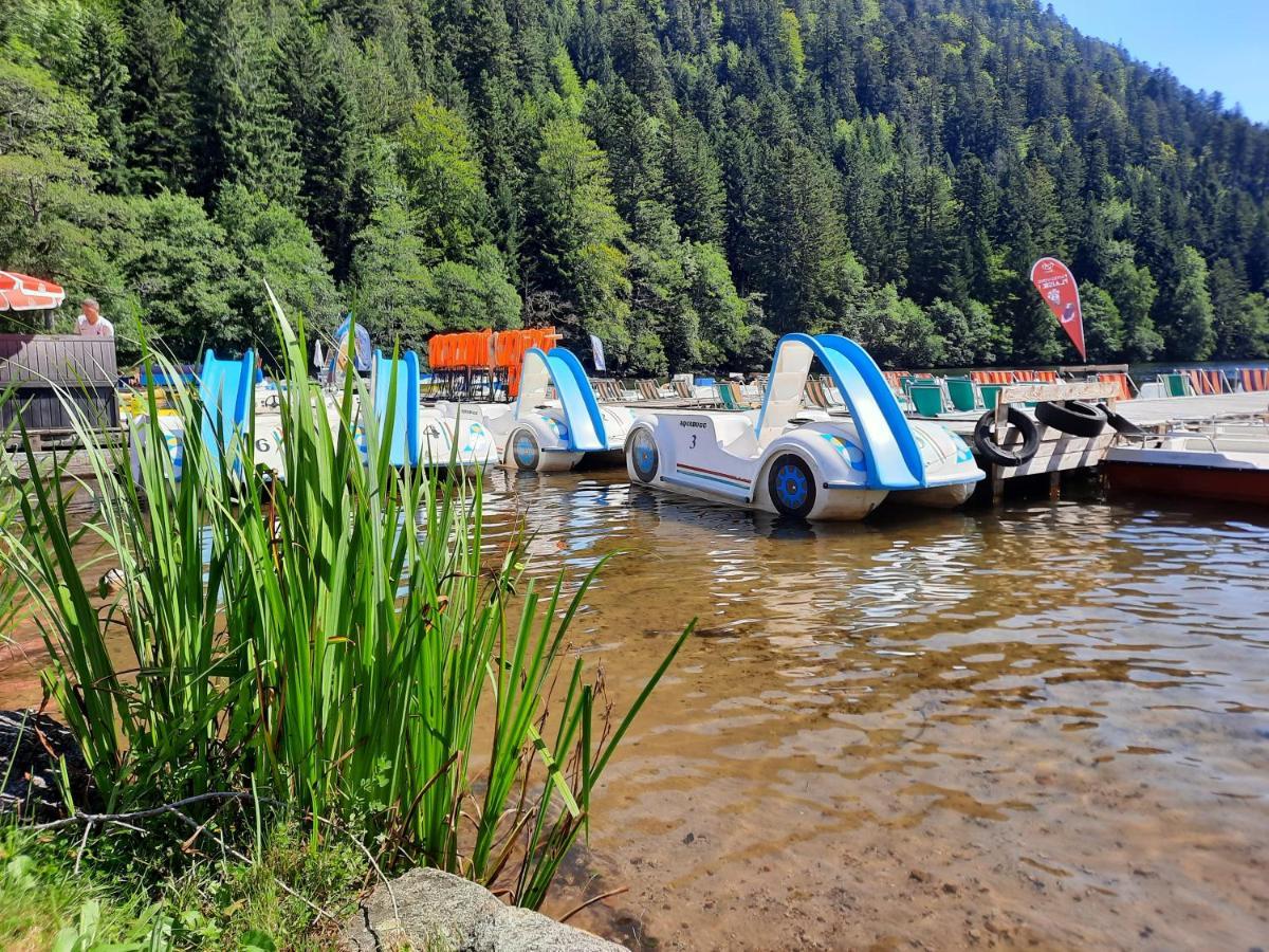 Le Chalet De La Chouille Xonrupt-Longemer Kültér fotó